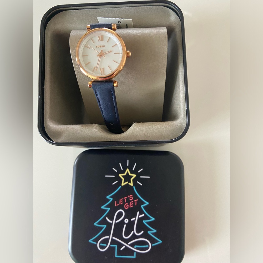Brand new Fossil watch in case. Navy blue strap.
